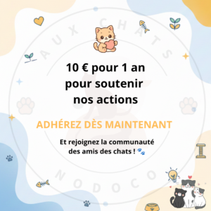 10 euro pour soutenir nos actions (5)
