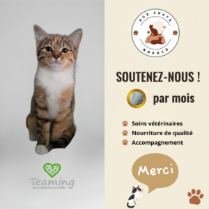 Copie de 10 euro pour soutenir nos actions (1)